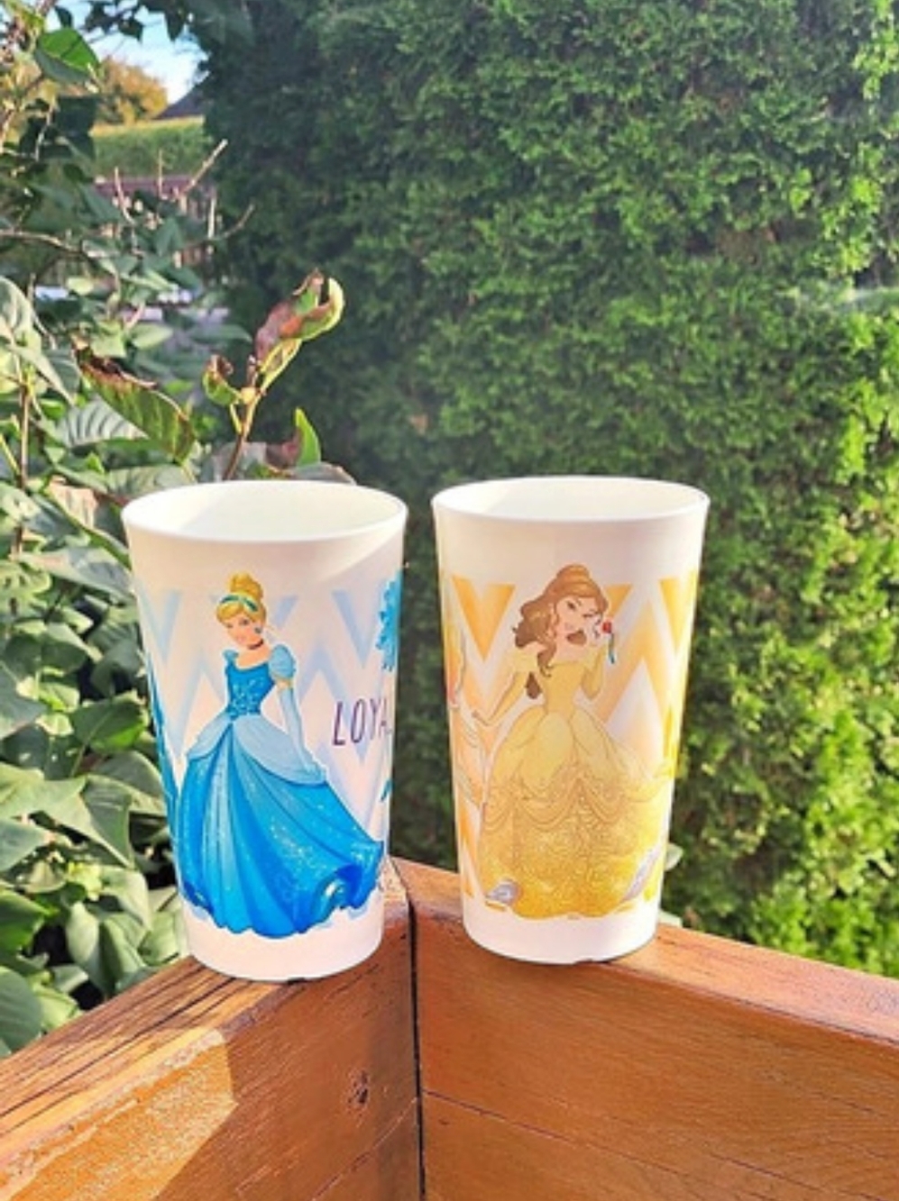Tupperware Disney Princess Tumbler
